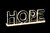 NY-HOPE - NY-HOPE