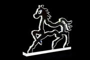NY-HORSE - NY-HORSE