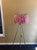 NY-L3 PINK - NY-L3 PINK
