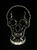 NY-SKULL - NY-SKULL