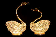 NY-SWAN-1 - NY-SWAN-1