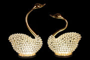 NY-SWAN-1 - NY-SWAN-1