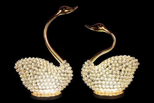 NY-SWAN-1 - NY-SWAN-1