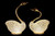 NY-SWAN-2 - NY-SWAN-2
