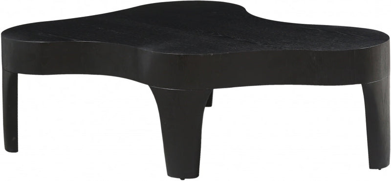 Oakley Oak Wood Coffee Table in Black - 213Black-C