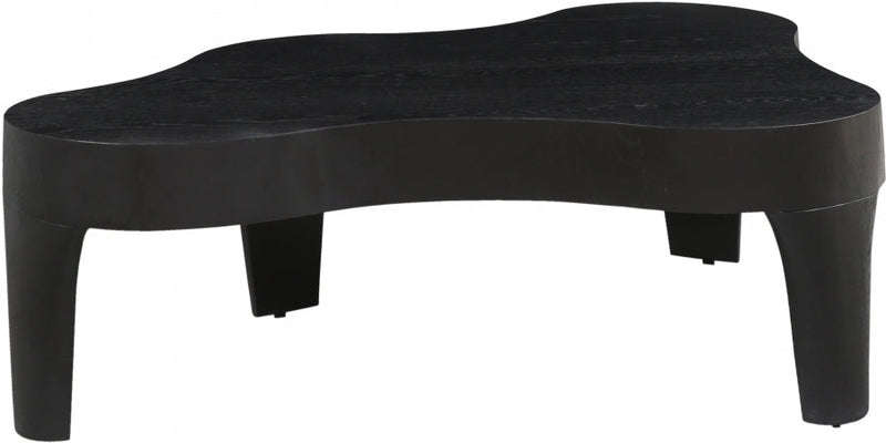 Oakley Oak Wood Coffee Table in Black - 213Black-C