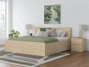 Onita Natural Queen Panel Platform Bed with 2 Side Storage - EB9632B18