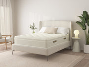 Organic Rest Series Queen Mattress - With Boxspring - 47753672523993