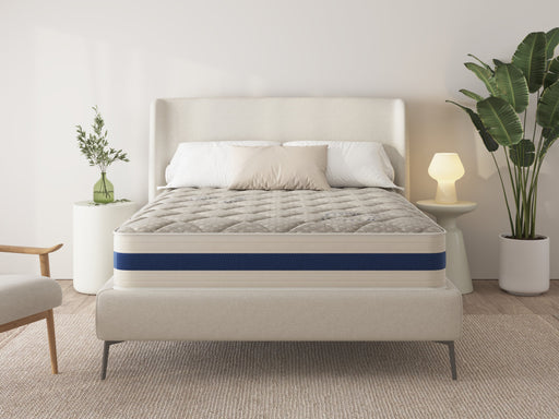 Orthopedic Double Sided Queen Mattress - With Boxspring - 47748887806169