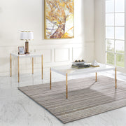 Otrac Coffee Table - LV00034