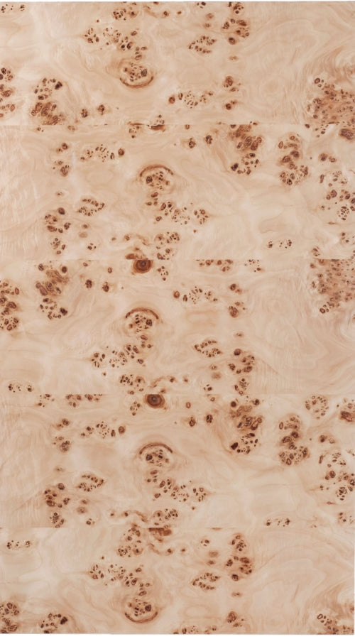 Otto Oak Veneer Coffee Table in Beige - 99015Burl-CT