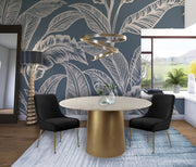 Owen Velvet Upholstered Dining Chair in Black, Set of 2 - 744Black