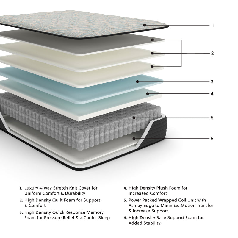 Palisades Plush California King Mattress - Gate FurnitureCalifornia King Mattress