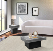 Palladium Iron Coffee Table in Silver - 255-CT
