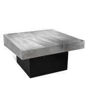 Palladium Iron Coffee Table in Silver - 255-CT
