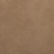 Paloma Vegan Leather Upholstered Dining Chair in Natural, Set of 2 - 88052Tan-C