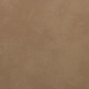 Paloma Vegan Leather Upholstered Dining Chair in Tan, Set of 2 - 88053Tan-C