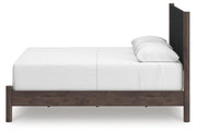 Pamytta Brown Queen Upholstered Panel Bed - PCB2614B24