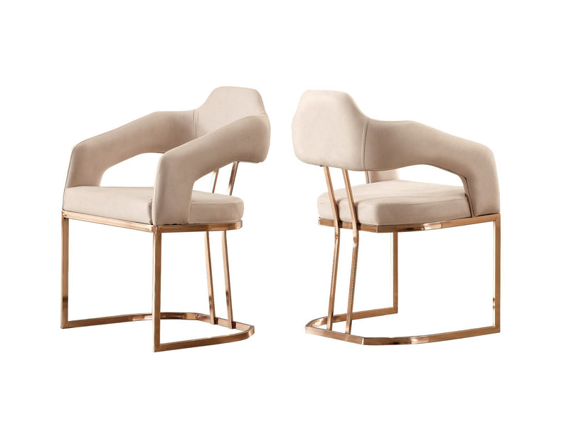 Paris Dining Arm Chair - 115-PAR-ZEG02-AC