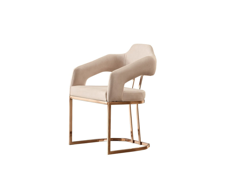 Paris Dining Arm Chair - 115-PAR-ZEG02-AC