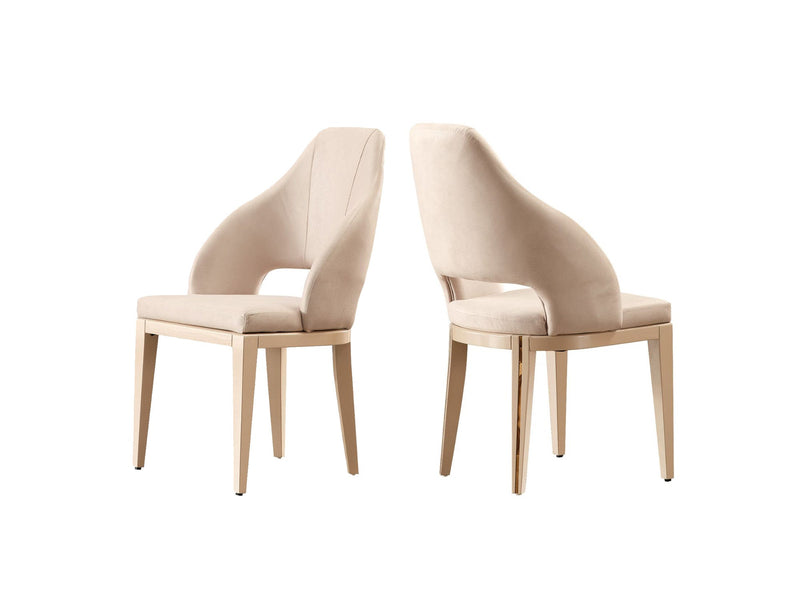 Paris Dining Chair - 115-PAR-ZEG02-DC