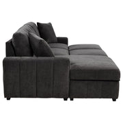 Pastrana Upholstered Sleeper Sectional Sofa LAF Chaise Grey - 500349