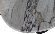 Puglia Marble Top And Oak Wood Base Coffee Table in White - 99058Viola-CT