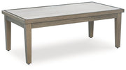 Rainier Ranch Outdoor Loveseat and 2 Chairs with Coffee Table in Brown/Beige from Ashley - Luna Furniture