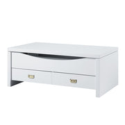 Ramiel Coffee Table W/Lift Top - LV00885