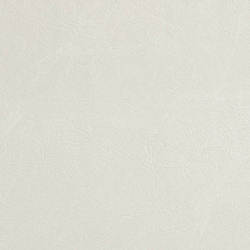 Randal Vegan Leather Upholstered Accent Chair in Cream - 33058Cream