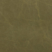 Randal Vegan Leather Upholstered Accent Chair in Olive - 33058Olive