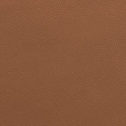 Rawlins Vegan Leather Upholstered Dining Chair in Cognac, Set of 2 - 11012Cognac-C