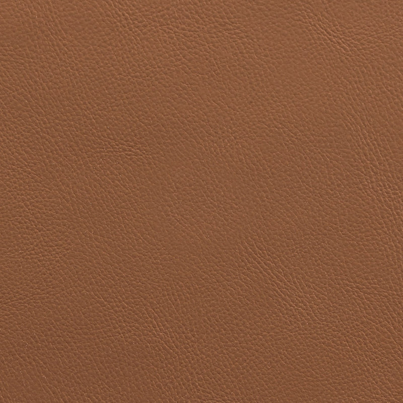Rawlins Vegan Leather Upholstered Dining Chair in Cognac, Set of 2 - 11012Cognac-C