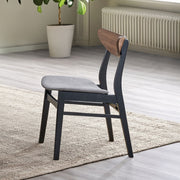 Rebi Side Chair (Set-2) - DN04181