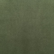 Relax 54.75" Velvet Upholstered Loveseat in Green - 44064Green-L