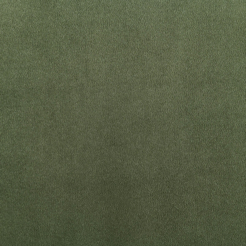 Relax 54.75" Velvet Upholstered Loveseat in Green - 44064Green-L