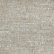 Renuar Fabric Upholstered Dining Chair in Beige, Set of 2 - 869Beige-C
