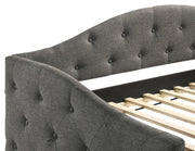 Sadie Upholstered Twin Daybed with Trundle Grey - 300638