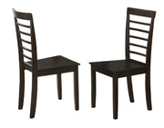 Salerno - Dining Chairs 2PC/CTN - D288-C