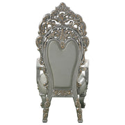 Sandoval Arm Chair (Set-2) - DN01496