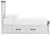 Savonport White/Brown Twin Panel Bed with Storage - B4615B18