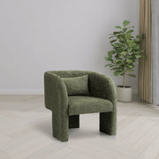 Sawyer Chenille Fabric Upholstered Accent Chair in Green - 493Green