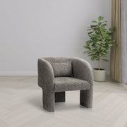 Sawyer Chenille Fabric Upholstered Accent Chair in Grey - 493Grey