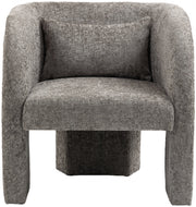 Sawyer Chenille Fabric Upholstered Accent Chair in Grey - 493Grey