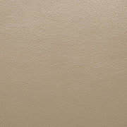 Schlieren Beige Power Recliner - FM6012BG-CH-PM