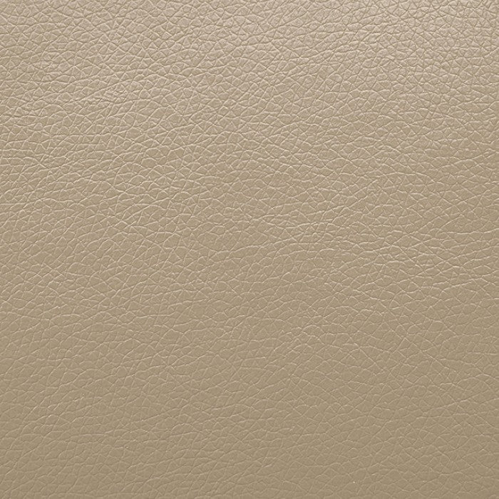 Schlieren Beige Power Recliner - FM6012BG-CH-PM