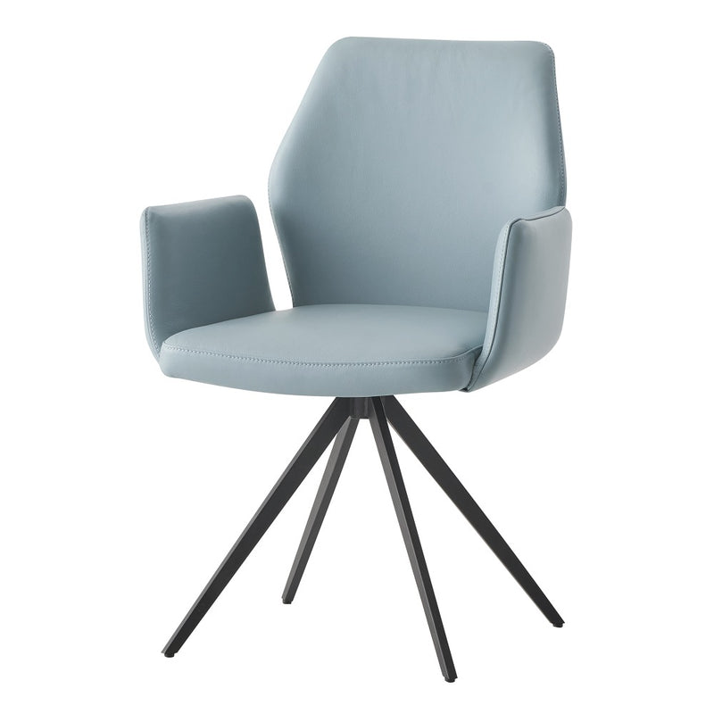 Segismunda Arm Chair W/Swivel - DN02403