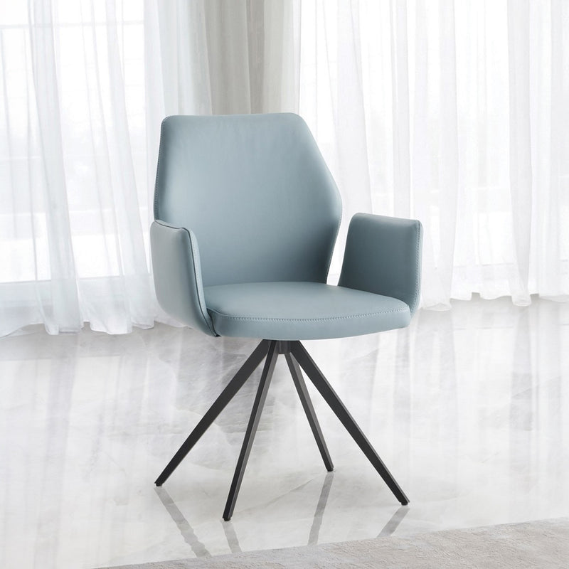 Segismunda Arm Chair W/Swivel - DN02403
