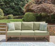 Serena Shores Outdoor Sofa and Chair in Beige/Green - PKG023980
