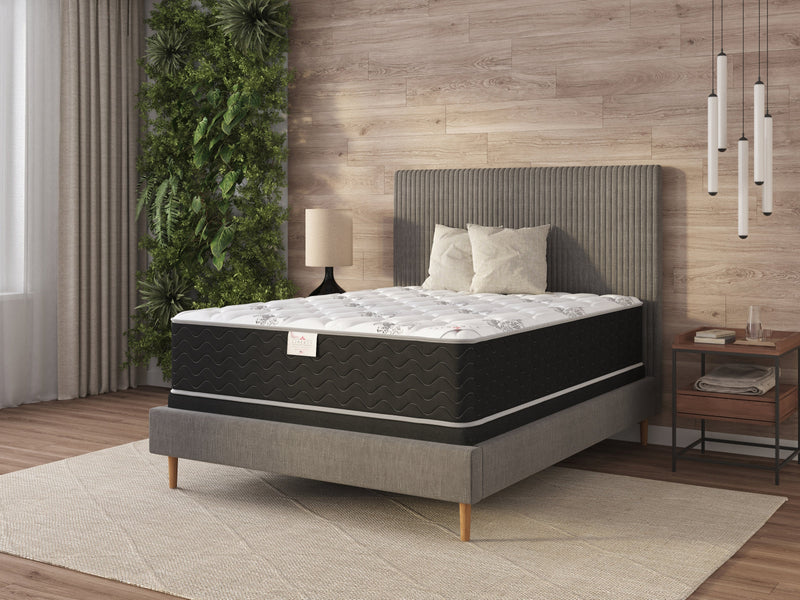 Serene Hybrid Full Mattress - With Boxspring - tracy-double-side-mattress-copy-full-with-boxspring